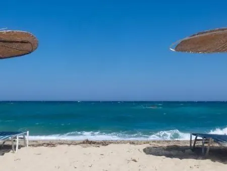 بيت ضيافة Guest Nia Elis كيتن